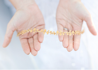 The Rose Vine Crown