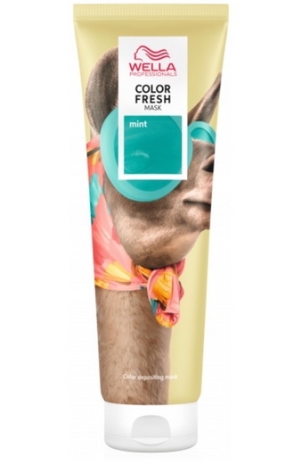 Color Fresh Mask - Mint